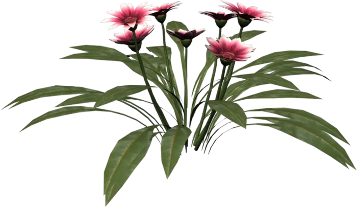 Pink Flowers with Vibrant Green Leaves