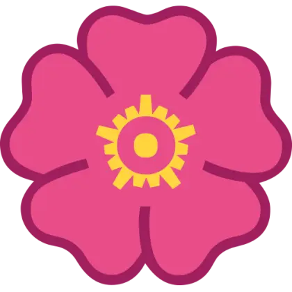 Pink Flower with Yellow Center