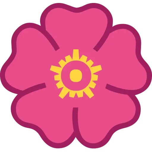 Pink Flower with Yellow Center