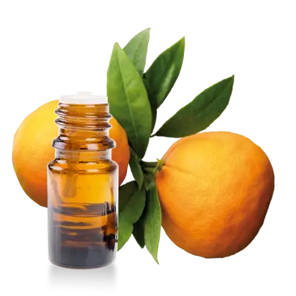 Orange Essential Oil with Fresh Oranges