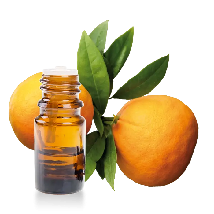 Orange Essential Oil with Fresh Oranges