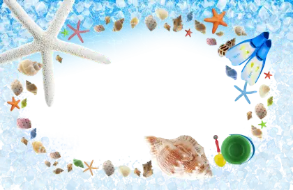 Beach-Themed Frame with Shell Decorations