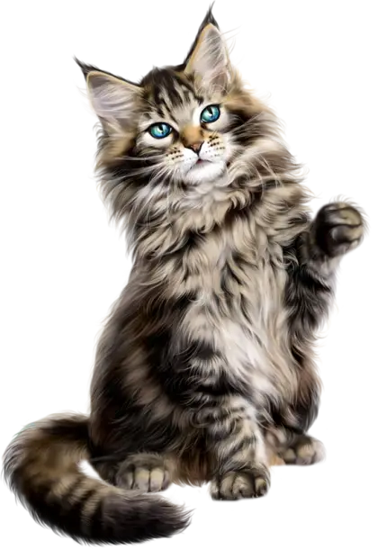 Beautiful Tabby Cat Illustration