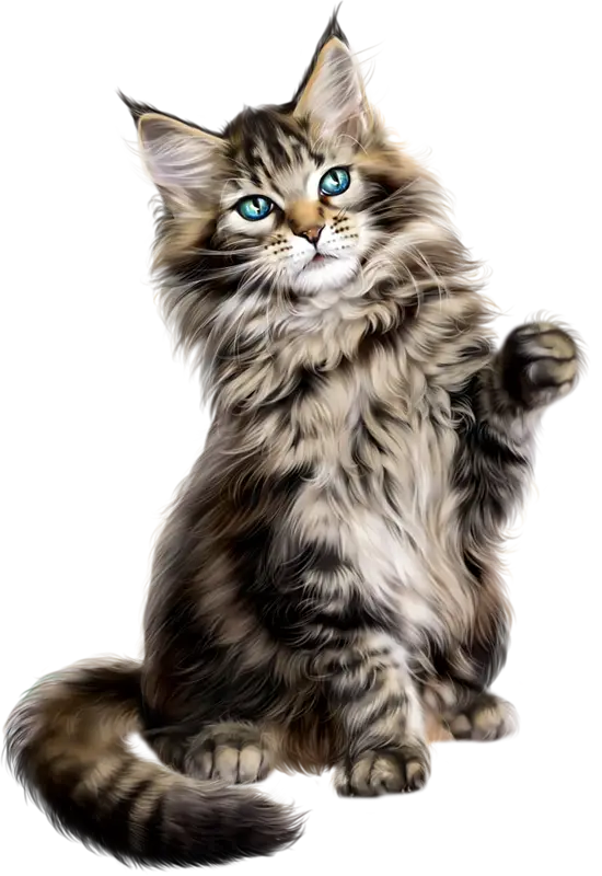 Beautiful Tabby Cat Illustration