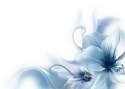 Delicate Blue Flowers in Bloom