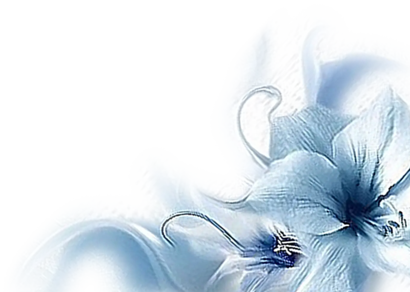 Delicate Blue Flowers in Bloom