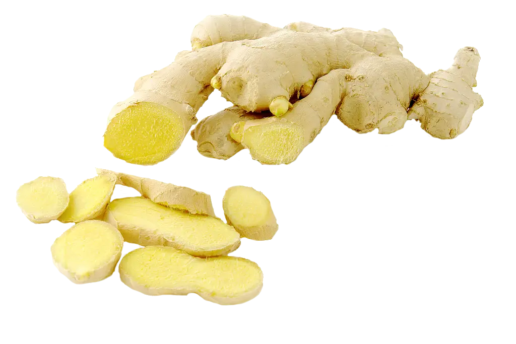 Fresh Ginger Roots and Slices