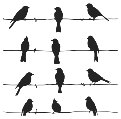 Bird Silhouettes Perched on Wires