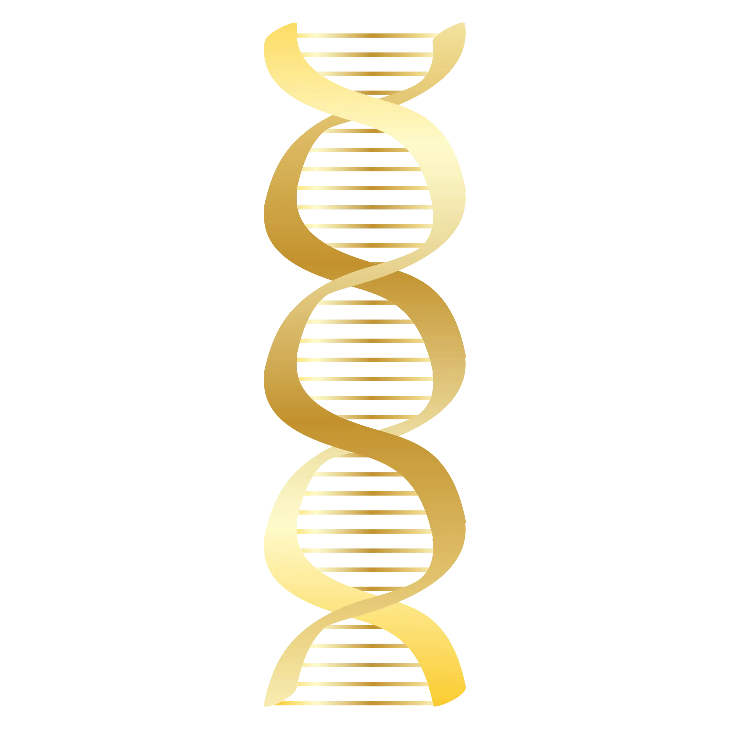 Golden DNA Helix Model for Science and Decoration
