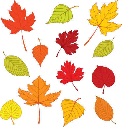 Colorful Autumn Leaves Illustration