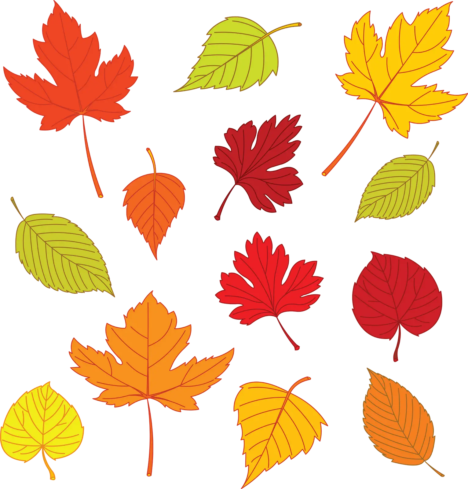 Colorful Autumn Leaves Illustration