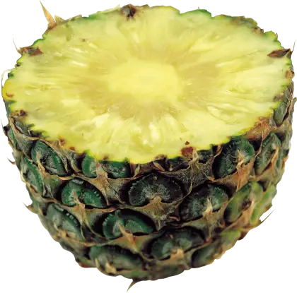 Half-cut Pineapple Image