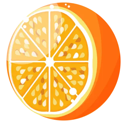 Bright Orange Fruit Slice Illustration