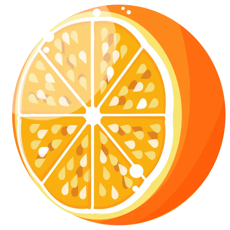 Bright Orange Fruit Slice Illustration
