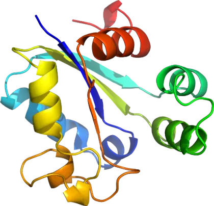 3D Protein Structure Molecule Diagram