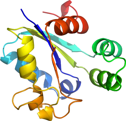 3D Protein Structure Molecule Diagram