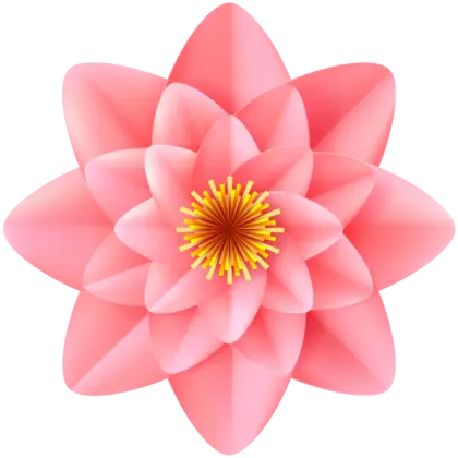 Pink Lotus Flower Illustration