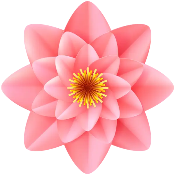 Pink Lotus Flower Illustration