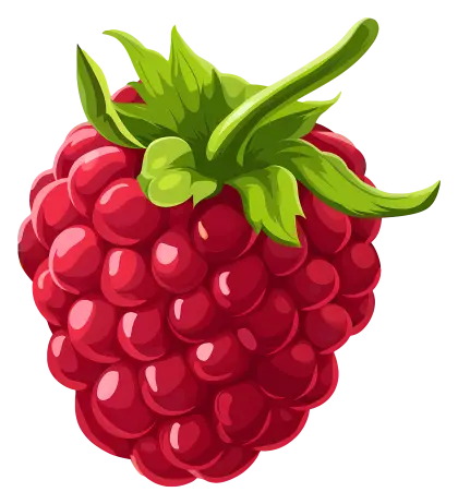 Red Raspberry Illustration