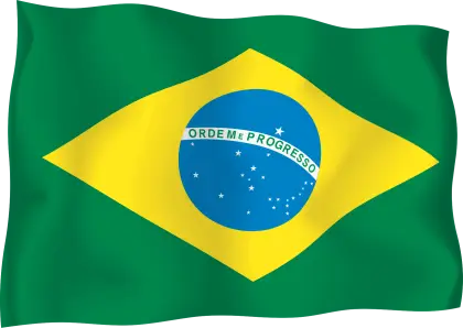 Brazilian Flag with Green and Yellow Design