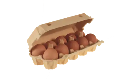 Brown Eggs in Carton