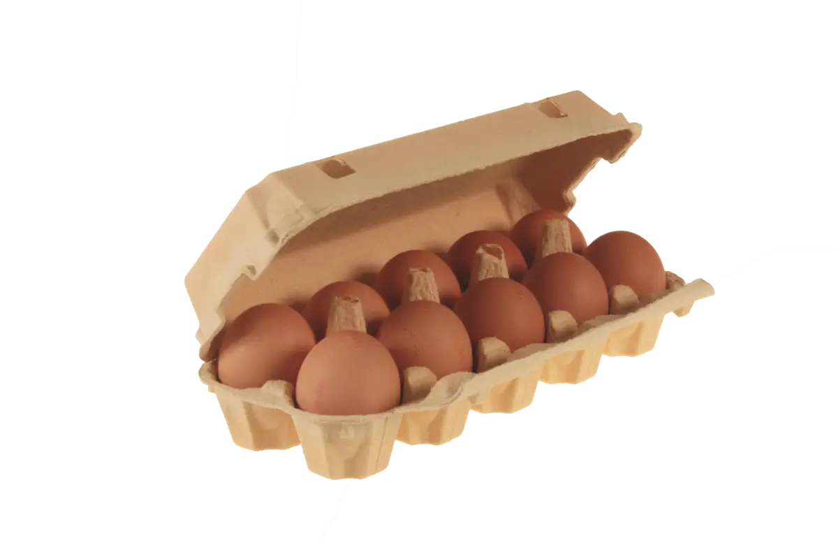 Brown Eggs in Carton
