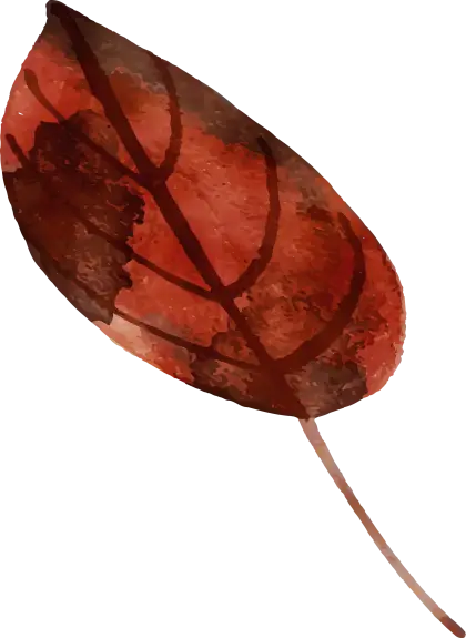 Autumn Leaf Illustration in Watercolor Style