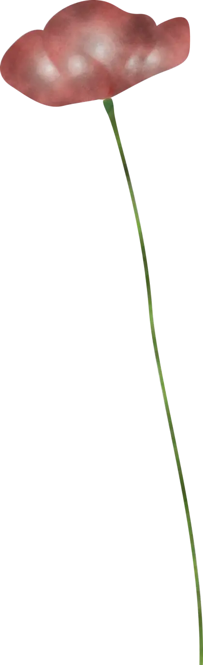 Red Single Flower with Long Stem