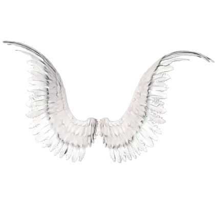 White Angel Wings Illustration