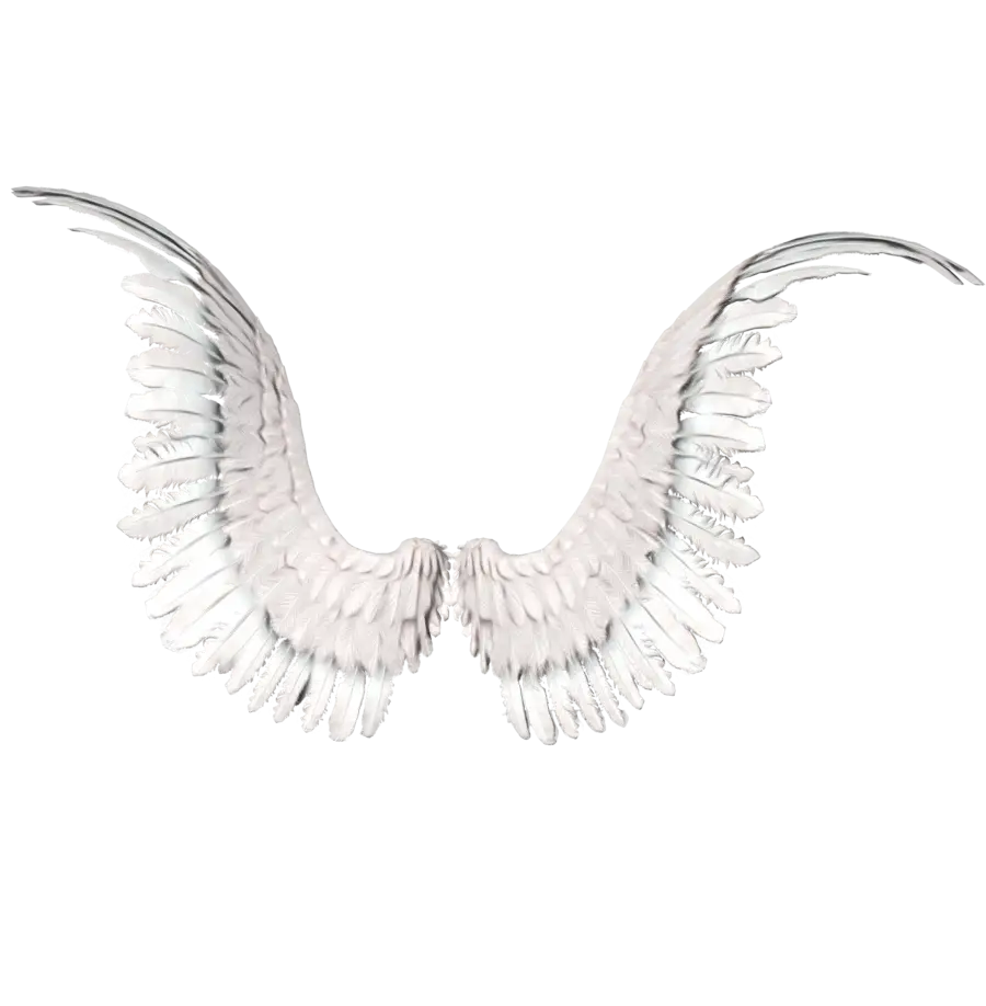 White Angel Wings Illustration