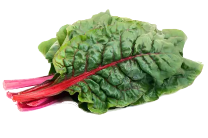Fresh Green Leafy Vegetable