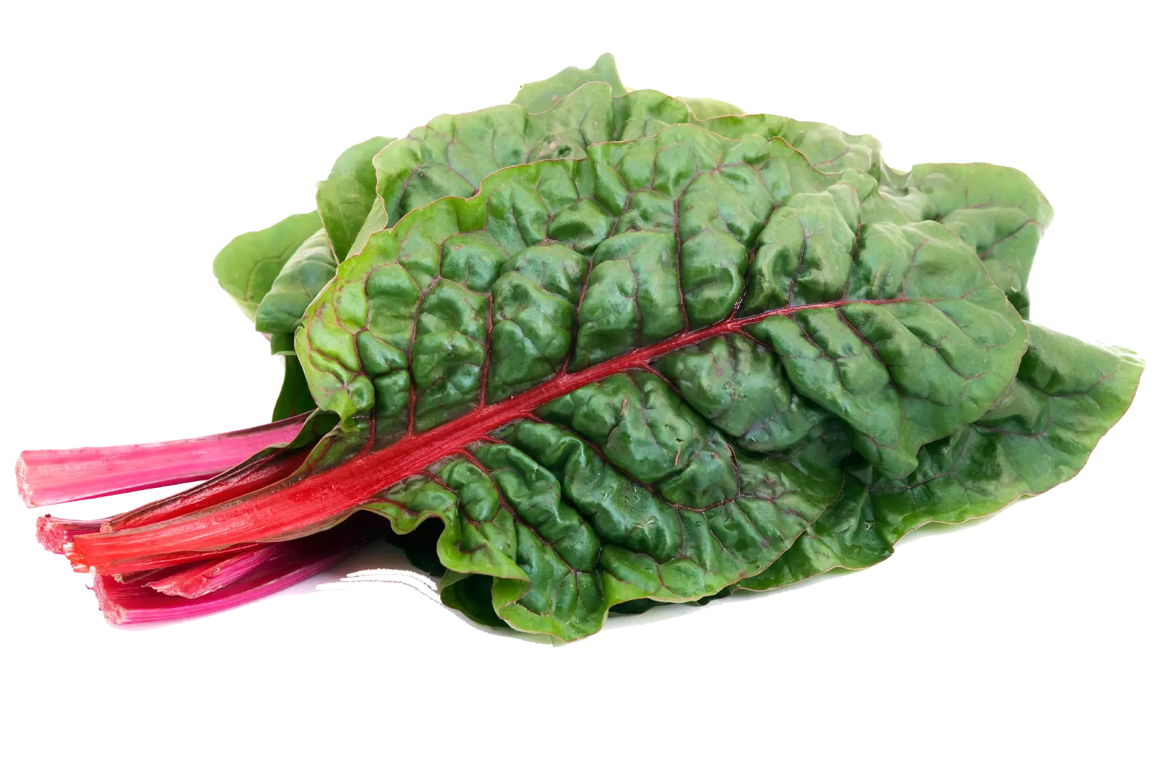 Fresh Green Leafy Vegetable