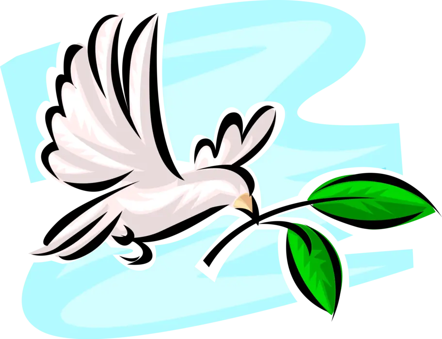 White Dove Carrying Olive Branch