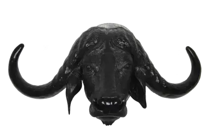 Black Buffalo Head Statue