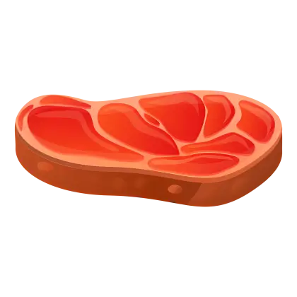 Raw Steak Illustration