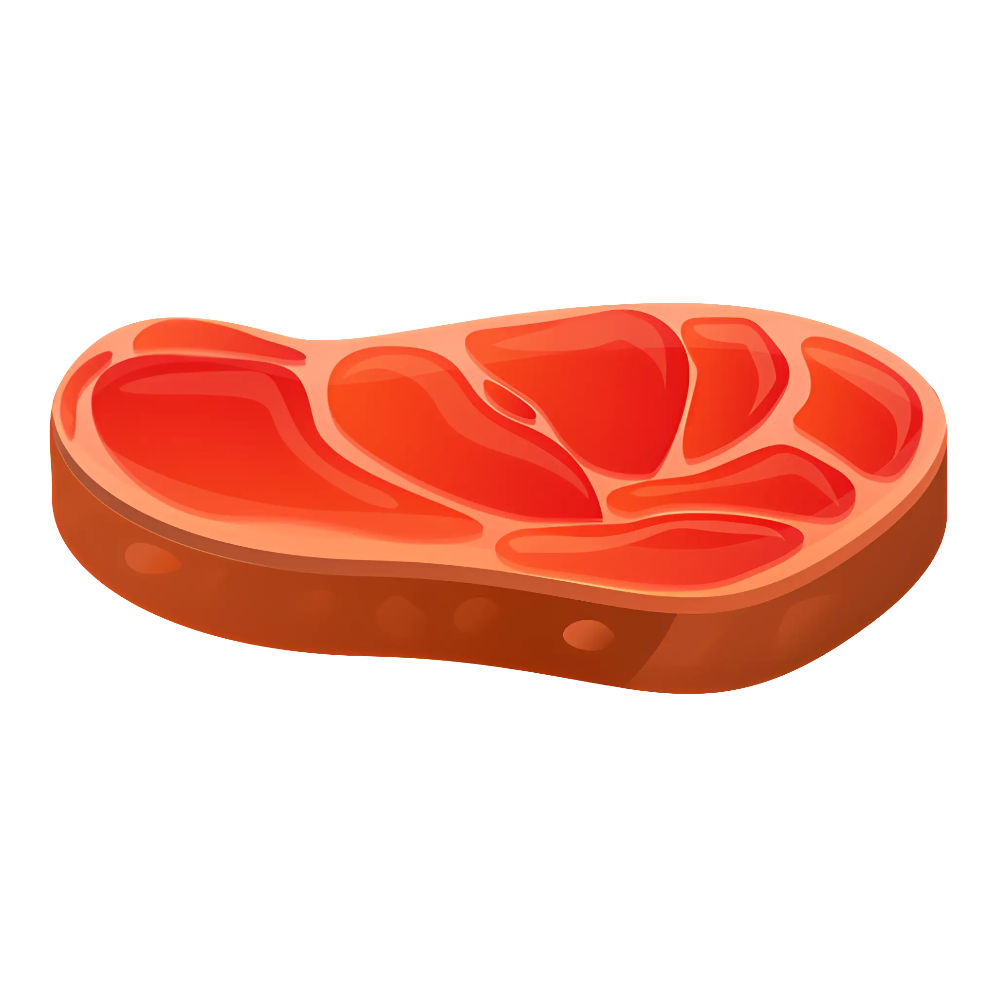 Raw Steak Illustration