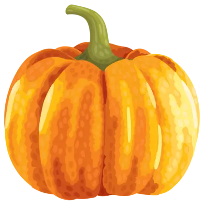 Bright Orange Pumpkin Illustration