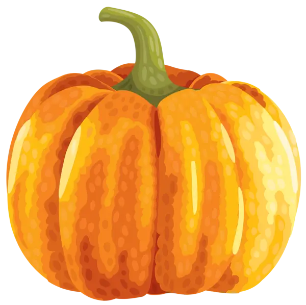 Bright Orange Pumpkin Illustration