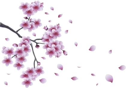 Cherry Blossom Branch with Falling Petals