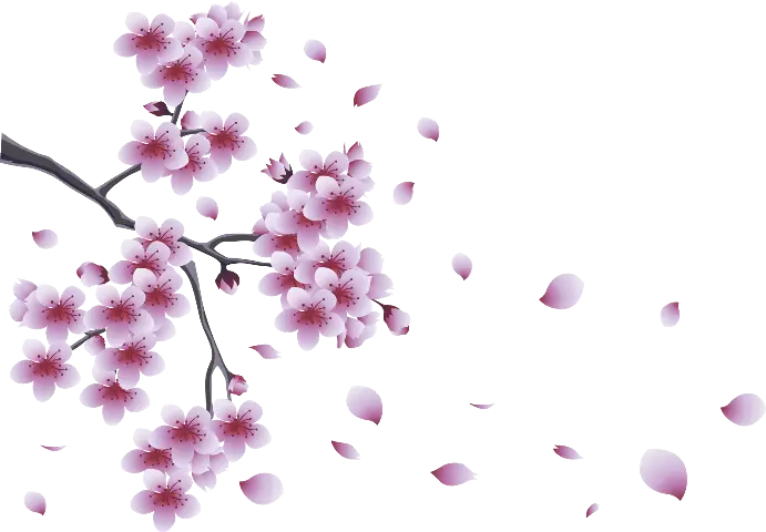 Cherry Blossom Branch with Falling Petals