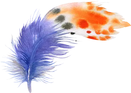 Colorful Feather