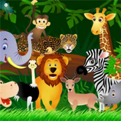 Jungle Animals Illustration