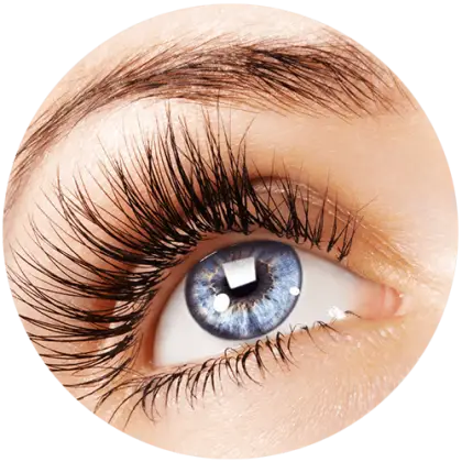 Eye with Blue Iris and Defined Eyelashes
