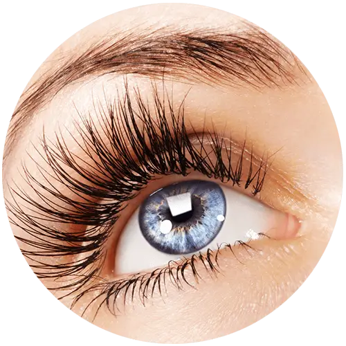 Eye with Blue Iris and Defined Eyelashes