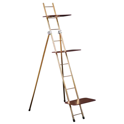 Wooden Foldable Ladder Illustration