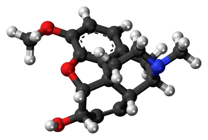 Scientific Representation of Molecular Structure