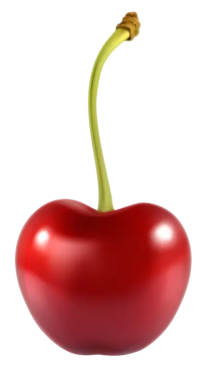 Bright Juicy Red Cherry