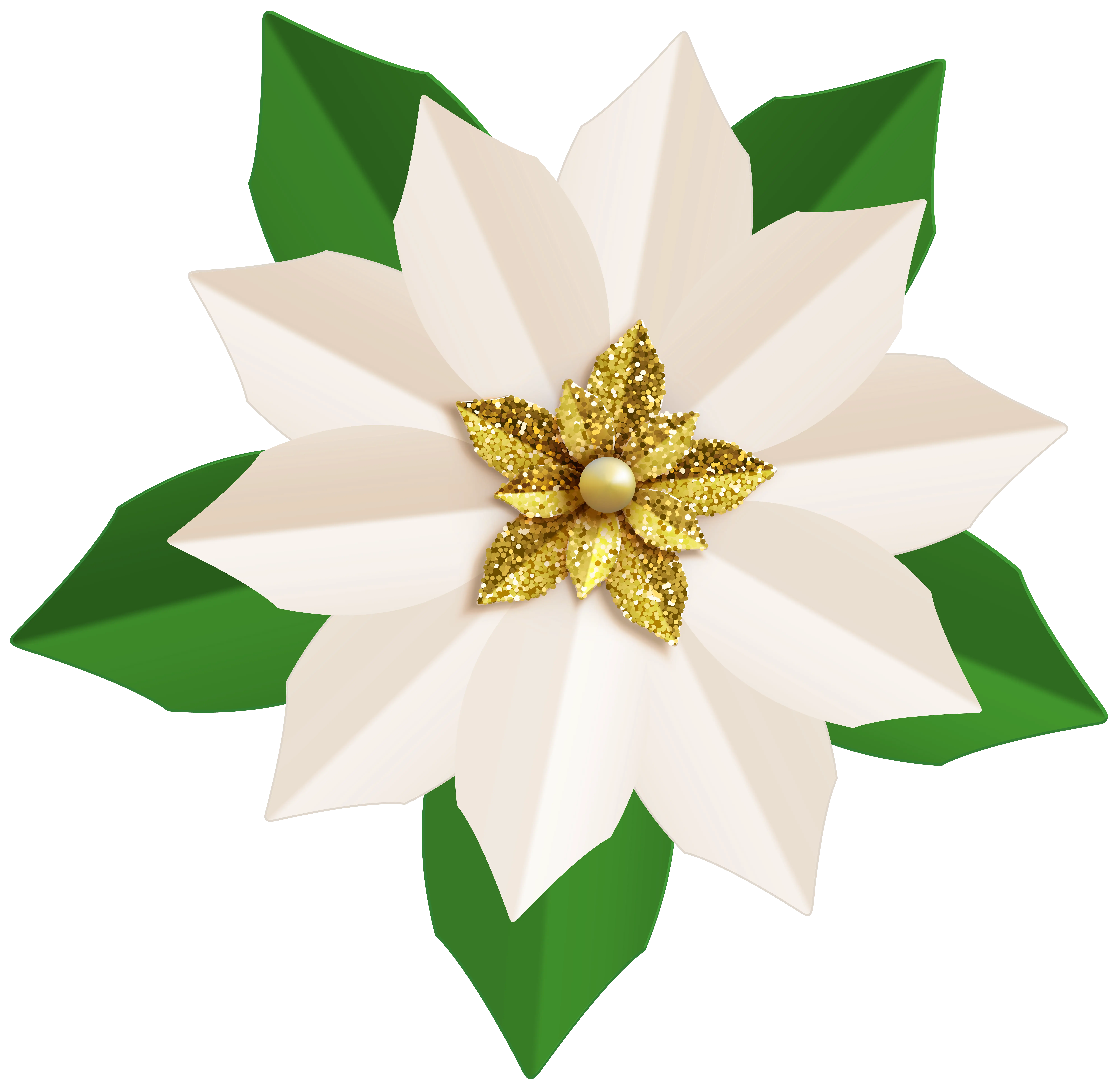 White Poinsettia with Gold Center