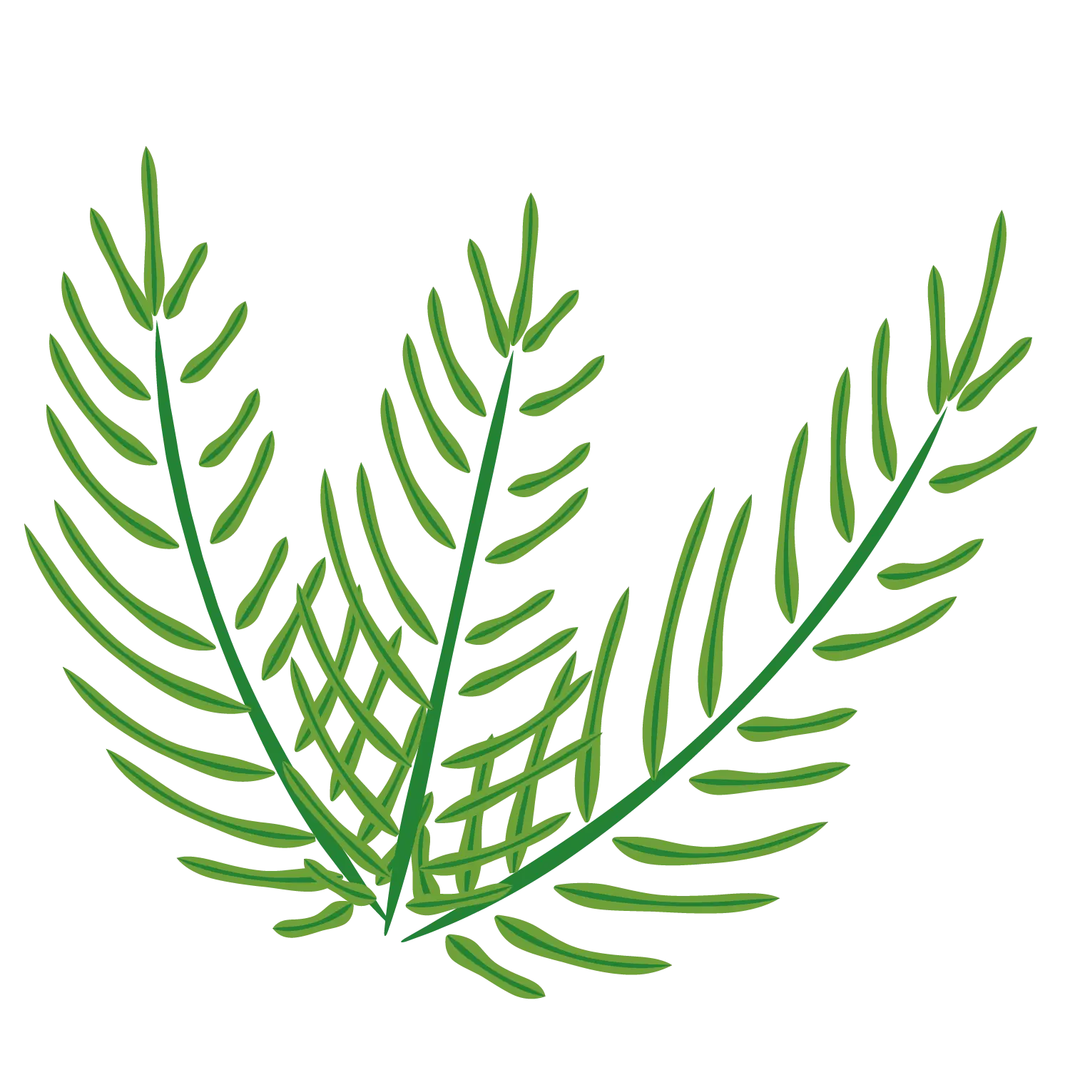 Green Fern Leaves in Botanical Style