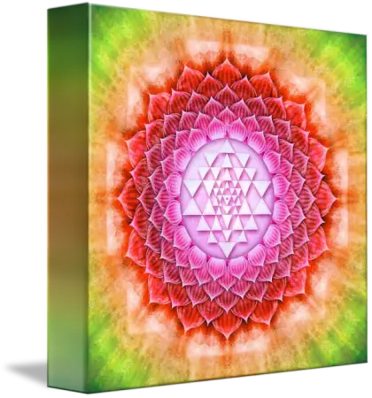 Colorful Mandala Art